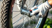 wheels cleaning and lubrication