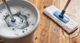 cleaning technique distinctions