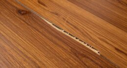 common cause of scratches