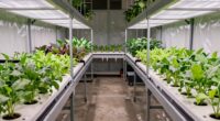 effective grow room leak proofing