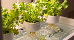 flow air temperature balance