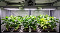 grow tent ventilation requirements