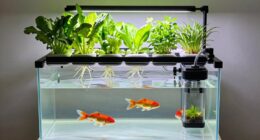 home aquaponics system basics