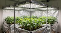 large 5x5 grow tent kits