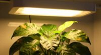 optimal grow light distance