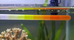 ph fluctuations prevention techniques