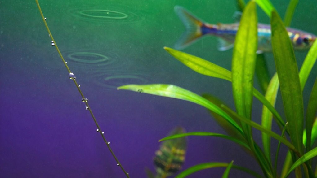ph stability ensures aquatic health