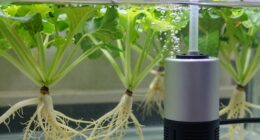 proper air pump sizing