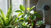 proper airflow benefits plants