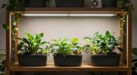 silent indoor plant cultivation