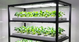 sturdy durable hydroponic rack