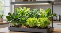 top indoor garden systems