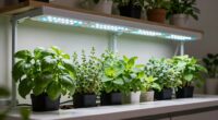 top indoor herb grow lights