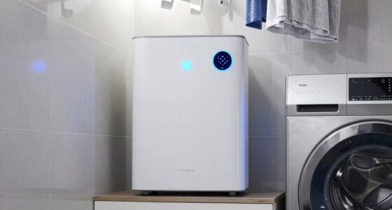 top laundry room dehumidifiers