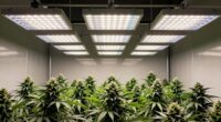 top led grow light bars