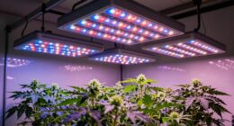 top led grow lights