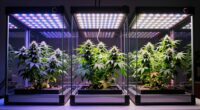 top led grow lights