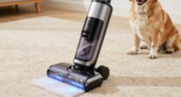top pet stain carpet cleaners