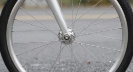 wheel circles prevention trick