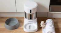 13 Best Automatic Pet Feeders in 2026