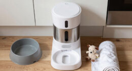13 Best Automatic Pet Feeders in 2026