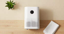 14 Best Mini Dehumidifiers for Small Spaces in 2026