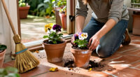 12 Best Flowers To Start Planting In Pots In October