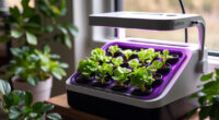 A Fall Herb Garden Review: owltron 15-Pod Smart Hydroponic System